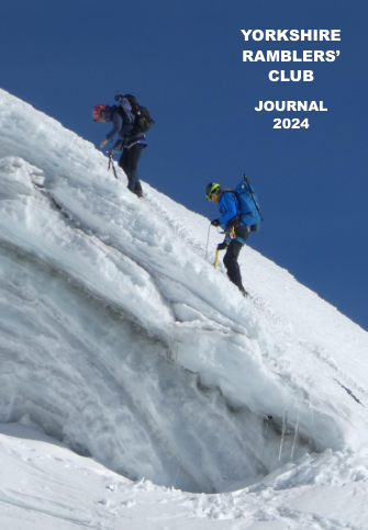 YRCJ 2024; 14(7) cover